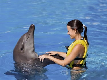 Swim_with_the_Dolphins_Cancun