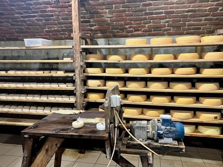 Etyek Cheese Cellar