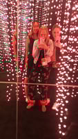 Sol_Alice and Leslie
